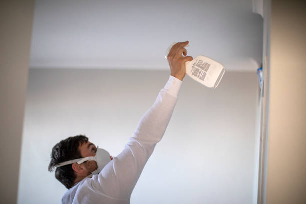 Certified Mold Removal in Harrison, TN