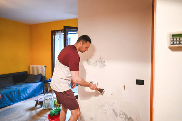 Best Home Mold Removal  in Harrison, TN